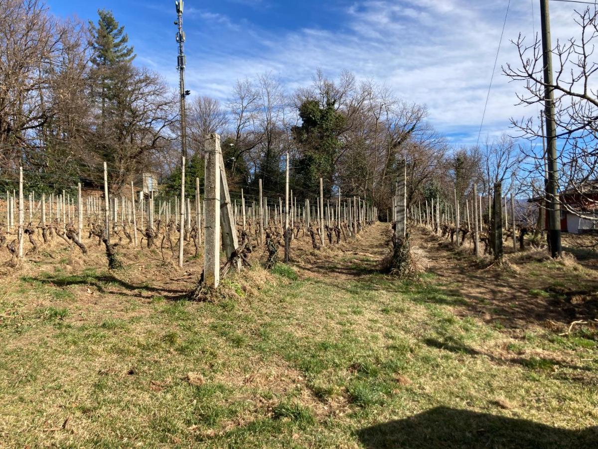 Appartamento Di Vacanza Tra I Vigneti Ponte Cremenaga Exteriör bild